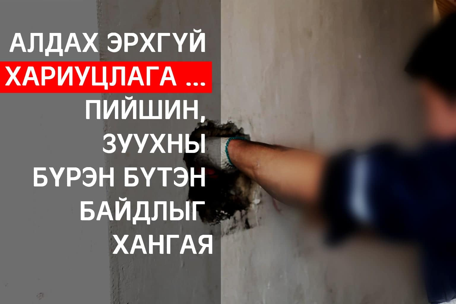 НҮБ-ын төлөөлөгчид COP17 төслийн талбайд мод тарилаа.